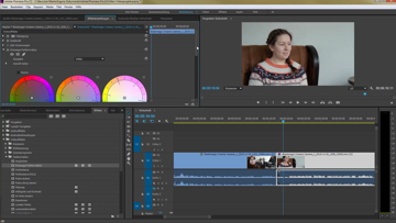 Still medium adobe premiere kapitel 7 farben