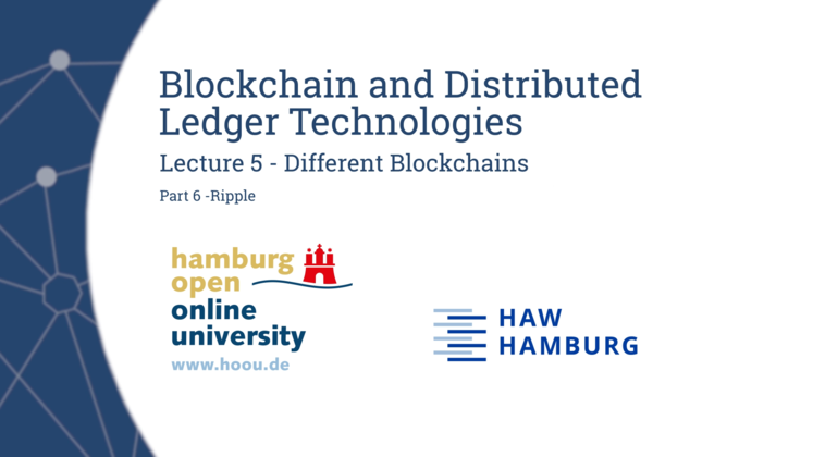 Large 5 different blockchains 6.00 00 01 20.standbild001